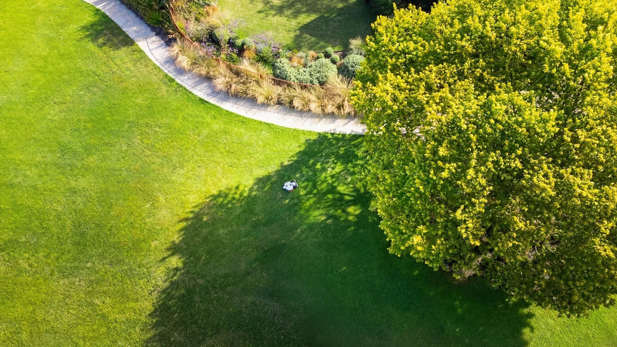 robotplæneklipper 2000 m2 - 3000 m2