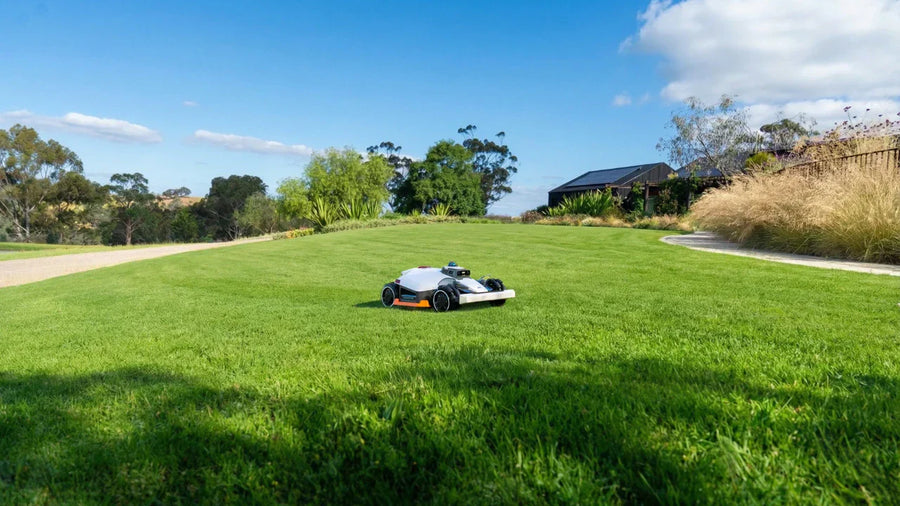 robotplæneklipper 4000 m2
