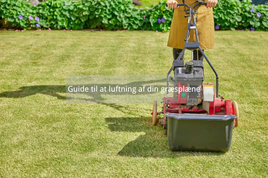 lufte græsplæne