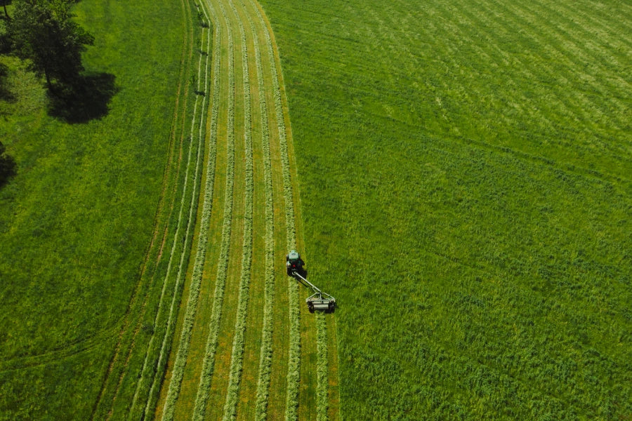 vertikalskæring af græsplæne
